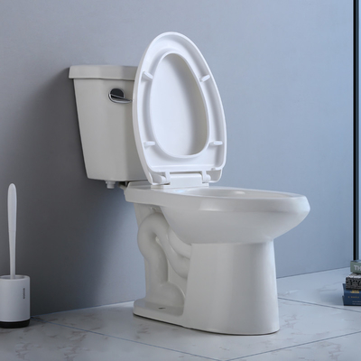 CARTE en deux pièces d'Ada Toilet Single Flush Siphonic 1000G de jacuzzi