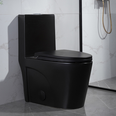 1,6 norme américaine de toilette d'une seule pièce de Gpf Matt Black Dual Flush Elongated