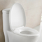 Nettoyage d'individu de Sterling Elongated Bathroom Toilets Surface 690X362X765MM