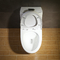 Système de rinçage de Siphonic de bouton de toilette ovale affleurante supérieure de contrat double