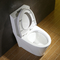Système de rinçage de Siphonic de bouton de toilette ovale affleurante supérieure de contrat double