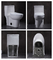 12 pouces de rugueux dans le siphon affleurant simple S de toilette emprisonnent le cabinet d'aisance oriental de carte de travail