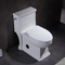 Toilette d'une seule pièce compacte avec la toilette 1pc standard américaine de la carte 1000 affleurants latéraux