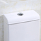 La 1 double toilette affleurante blanche S de taille de confort d'une seule pièce emprisonnent 300mm 10&quot; dégrossissage dans