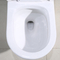 1,0 commode d'une seule pièce de toilette de norme américaine en céramique de Gpf double