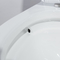 double toilette 28&quot; 1,28 d'une seule pièce affleurante de Gpf 10 pouces de rugueuse dans la norme américaine