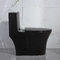 Les toilettes Matte Black de salles de bains d'Iapmo double toilette de 1 morceau ont prolongé Siphonic en céramique
