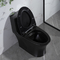 Doubles toilettes Matte Black Csa Toilet With 10,5 de salles de bains de soupape de vidange de siphon rugueux dans le noir
