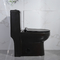 Le contrat Trapway a bordé le cabinet d'une seule pièce de toilette l'eau qu'affleurante facile nettoient
