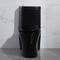 porcelaine noire standard américaine de toilette d'une seule pièce de 300mm Siphonic