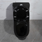 porcelaine noire standard américaine de toilette d'une seule pièce de 300mm Siphonic
