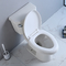 Le doux commercial allongé de 2 de morceau de toilette toilettes de Watersense a fermé le siège de pp