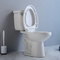 Toilette 1,28 standard américaine en deux pièces de carte de travail Watersense de Gpf de toilettes de salles de bains d'hôtel