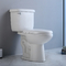 10 pouces de rugueux en avant rond de toilette d'Ada Comfort Height Toilet Siphon