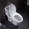 Toilette d'une seule pièce d'handicap de cuvette ronde de 21 pouces pour les commodes grandes de personnes handicapées