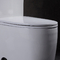 21 porcelaine d'une seule pièce de commode d'Ada Comfort Height Toilet 1,6 Gpf de pouce grande