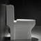 La 1 double toilette affleurante blanche S de taille de confort d'une seule pièce emprisonnent 300mm 10&quot; dégrossissage dans
