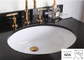 Le nominal ovale noir blanc d'Ada Bathroom Sink Wall Hung Cupc a glacé à l'intérieur