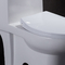 10 pouces de rugueux en Ada Comfort Height Toilet For ont désactivé le rv avec le flux de puissance