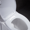 Toilette d'une seule pièce ovale 10 de Siphonic rugueuse dans la preuve de fuite doucement fermante