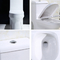 Les toilettes blanches de salles de bains choisissent le siphon d'une seule pièce bordé ovale affleurant de cuvette des toilettes