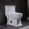 Handicap Ada Elongated Toilet standard américaine conservation de l'eau de 1 morceau