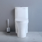 Salle de bains d'une seule pièce d'Ada Comfort Height Toilet Elongated de 19 pouces en céramique