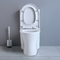 Salle de bains d'une seule pièce d'Ada Comfort Height Toilet Elongated de 19 pouces en céramique