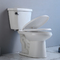 CARTE en deux pièces d'Ada Toilet Single Flush Siphonic 1000G de jacuzzi