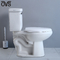 La salle de bains en deux pièces de toilette de lavage à grande eau de porcelaine a intégré le cabinet d'aisance de siphon