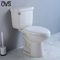 La salle de bains en deux pièces de toilette de lavage à grande eau de porcelaine a intégré le cabinet d'aisance de siphon