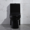 Rond en céramique ovale de Gpf Cupc de la toilette 1,6 de morceau de Matt Black Dual Flush One