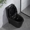 1,6 norme américaine de toilette d'une seule pièce de Gpf Matt Black Dual Flush Elongated