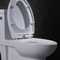 Blanc standard américain de toilette de taille d'ADA One Piece Elongated Comfort