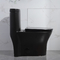 Double toilette double de piège de Siphonic 2-1/8 d'une seule pièce allongé affleurant en céramique »