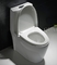 La commode ovale de toilette d'une seule pièce de profil bas a entièrement glacé le siphon Jet Flush