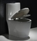 Toilette ovale d'une seule pièce affleurante supérieure avec 11 pouces de rugueux dans la housse de siège de ralentissement