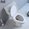 Ada Two Piece Toilet Flush cabinet d'aisance de 2 morceaux dans la CARTE principale 1000G de salle de bains