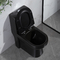 Siphon ovale d'une seule pièce noir Jet Toilet Flushing Systems de Gpf des toilettes 1,6